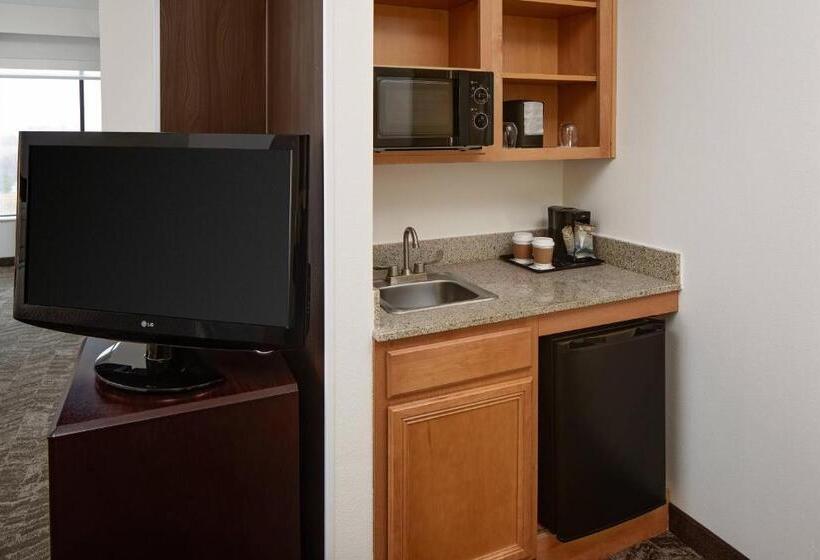 جناح, Springhill Suites By Marriott Ardmore