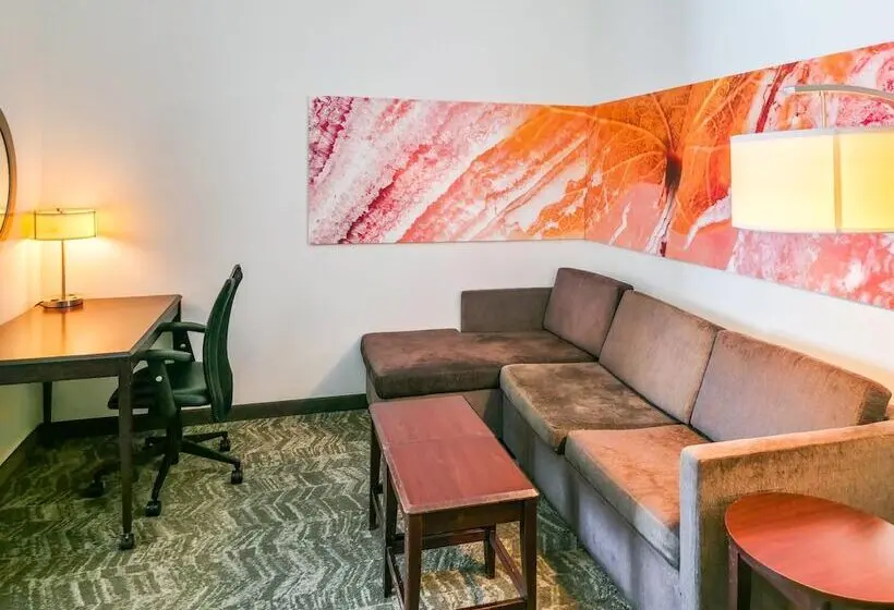 スイート, Springhill Suites By Marriott Ardmore
