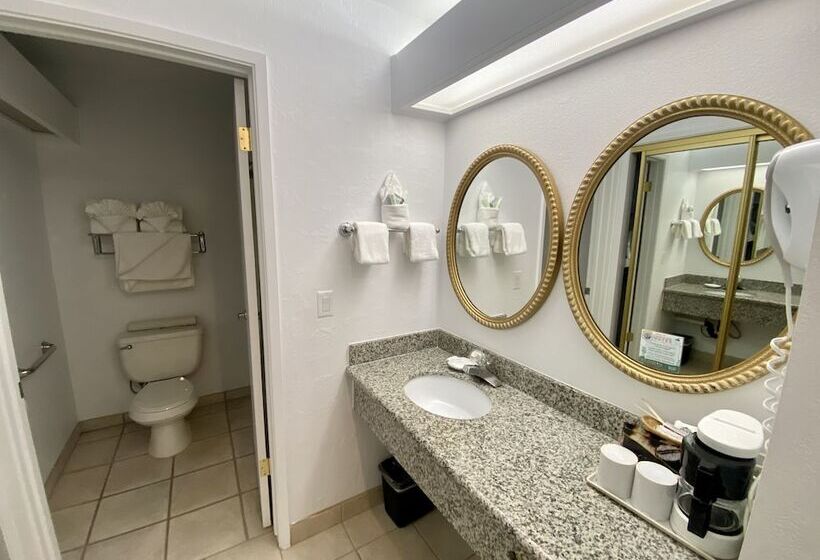 デラックスルーム, Masterpiece