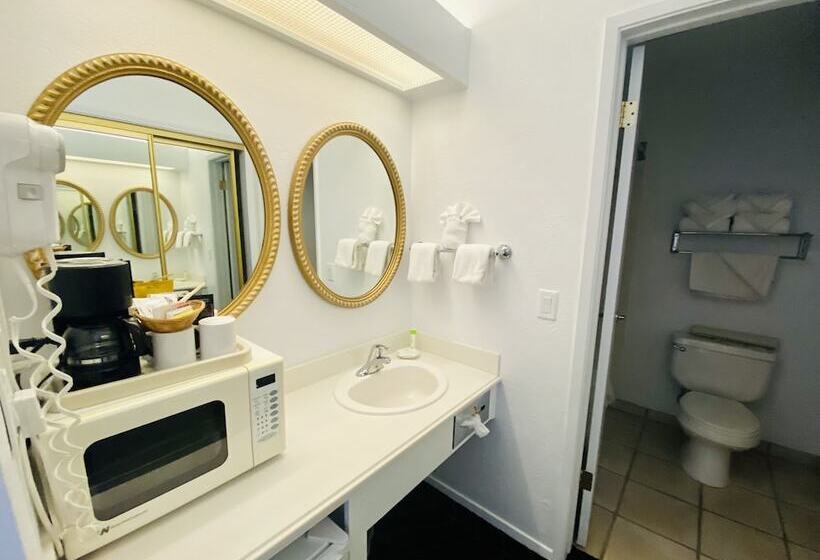 デラックスルーム, Masterpiece