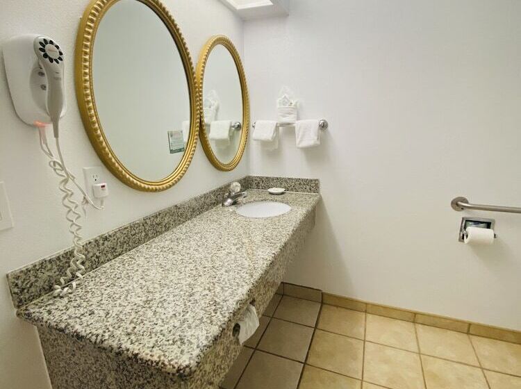 身障者適用スタンダードルーム, Masterpiece