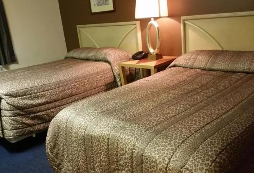 スタンダードルーム, Starlite Motor Inn