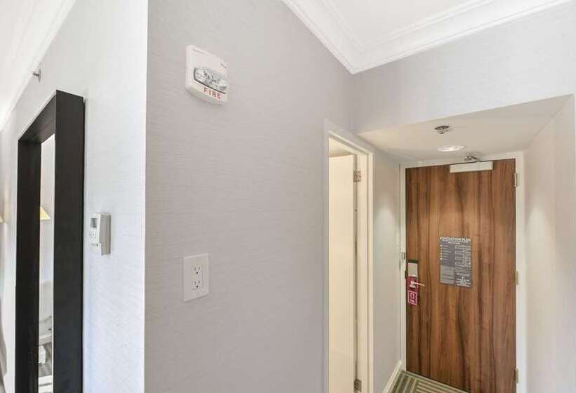 غرفة قياسية, Nylo Dallas Plano Hotel, Tapestry Collection By Hilton