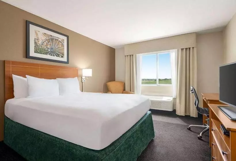 身障者適用キングサイズベッドルーム, Baymont By Wyndham Fremont