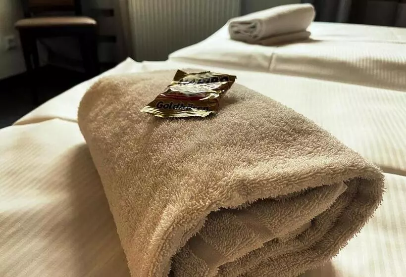 Standard-huone, Sport Hotel Kenzingen