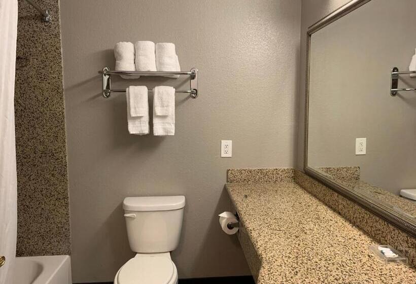 Номер Стандарт, Hawthorn Extended Stay By Wyndham Hobbs