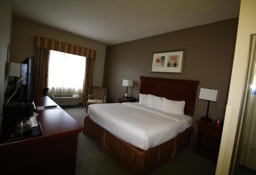Standard Szoba King Size Bed, Seffner Inn And Suites