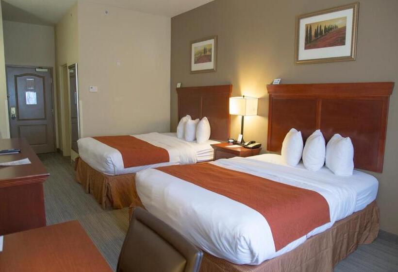 Номер Стандарт, Seffner Inn And Suites