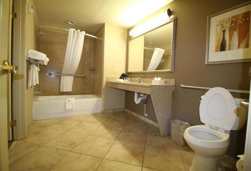 Номер Стандарт Адаптированный для Инвалидов, Seffner Inn And Suites