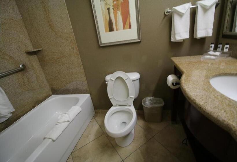 Mozgáskorlátozott Standard Szoba, Seffner Inn And Suites