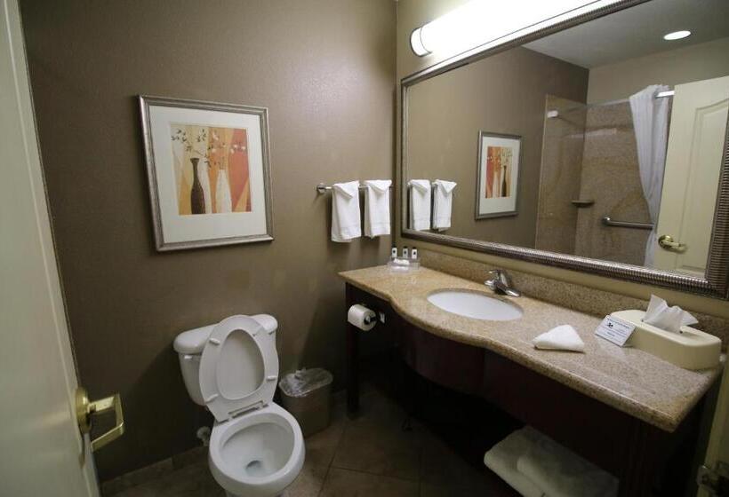 Mozgáskorlátozott Standard Szoba, Seffner Inn And Suites