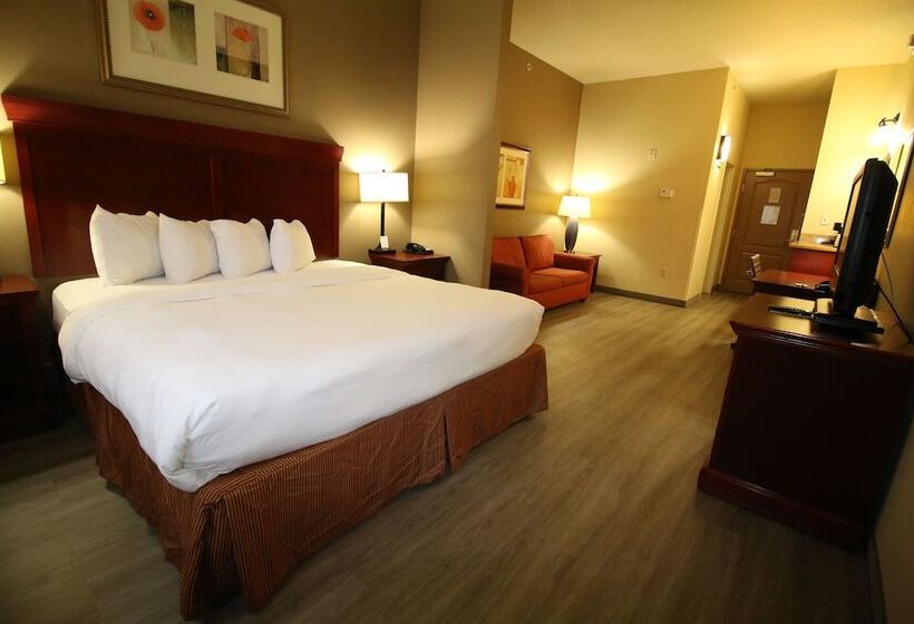 Люкс Адаптированный для Инвалидов, Seffner Inn And Suites