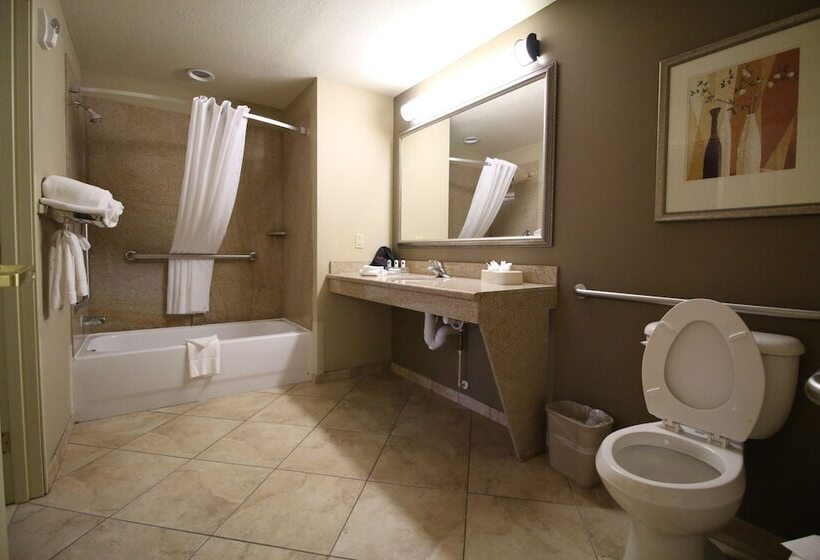 Люкс Адаптированный для Инвалидов, Seffner Inn And Suites