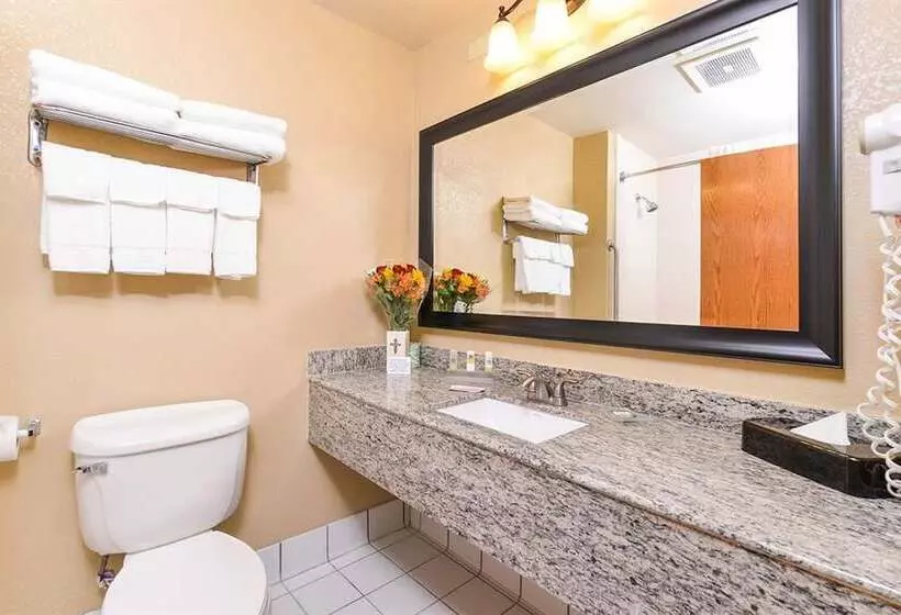 スイート, Garner Hotel Gillette South, An Ihg