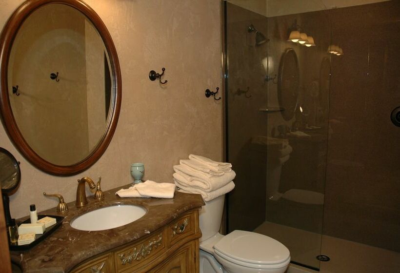 חדר סטנדרט מיטה זוגית, Chateau Chamonix