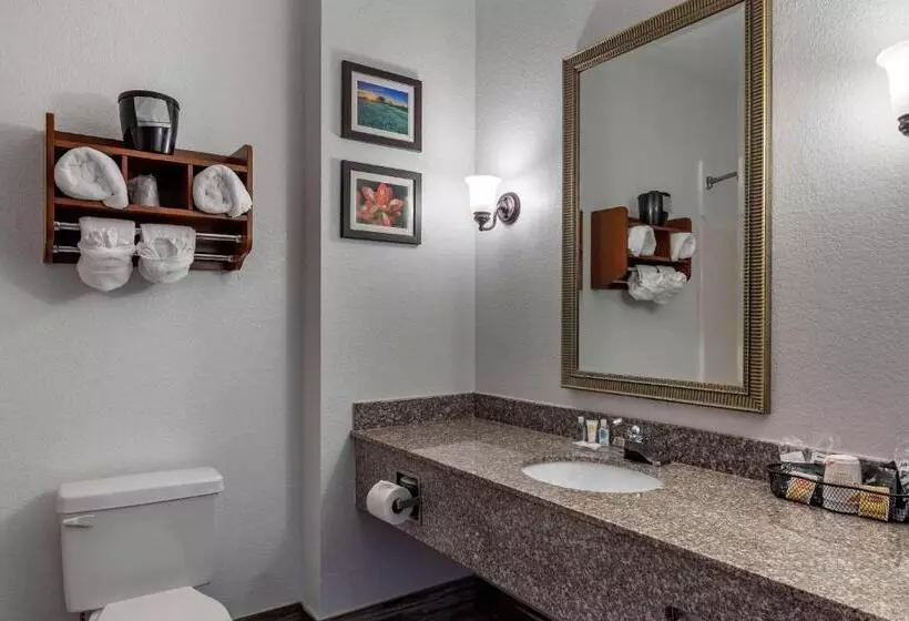 Standard-huone King-vuode, Comfort Inn & Suites Gatesville Near Fort Cavazos