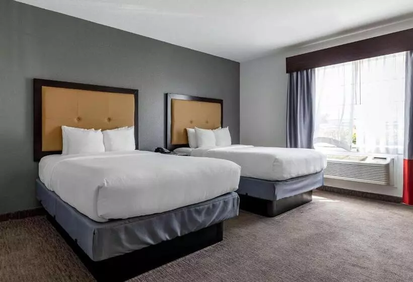 Standard-huone 2 Parivuodetta, Comfort Inn & Suites Gatesville Near Fort Cavazos