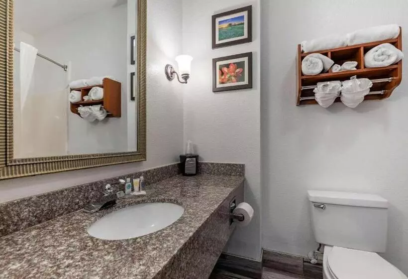 Sviitti, Comfort Inn & Suites Gatesville Near Fort Cavazos