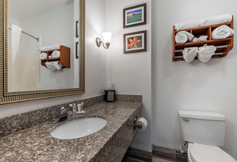 スイート, Comfort Inn & Suites Gatesville Near Fort Cavazos