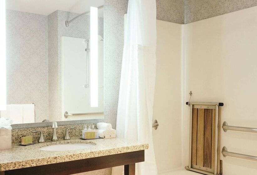 身障者適用スタンダードルーム, Hilton Garden Inn Des Moines Airport