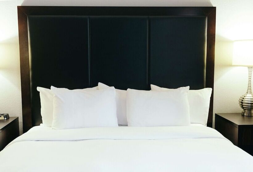 スタンダードルーム, Hilton Garden Inn Des Moines Airport