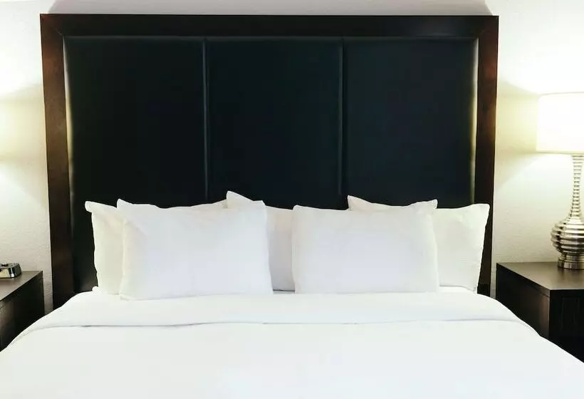 اتاق استاندارد, Hilton Garden Inn Des Moines Airport