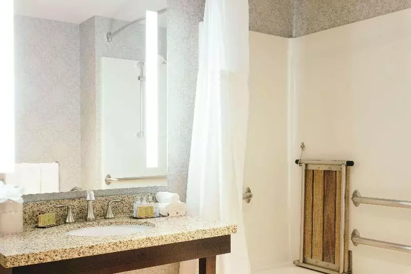 اتاق استاندارد با تخت بزرگ, Hilton Garden Inn Des Moines Airport