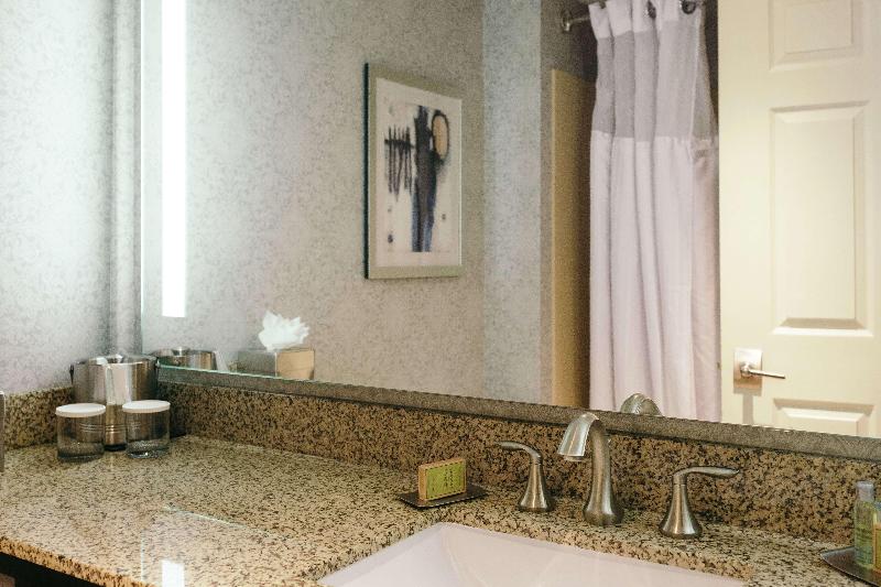 キングサイズベッドのスタンダードルーム, Hilton Garden Inn Des Moines Airport