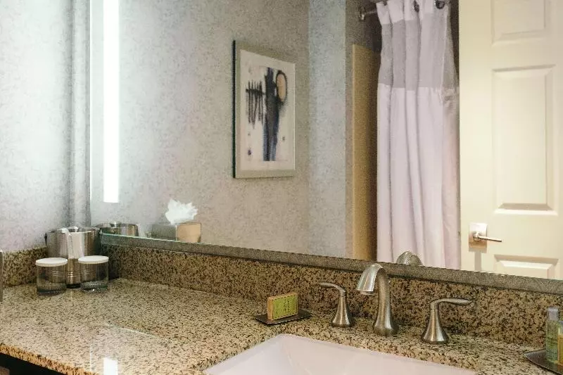 اتاق استاندارد با تخت بزرگ, Hilton Garden Inn Des Moines Airport