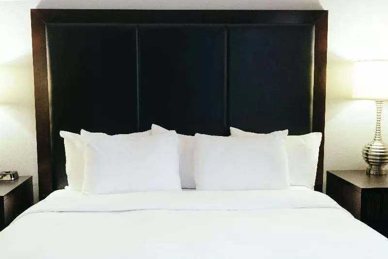 اتاق استاندارد با تخت بزرگ, Hilton Garden Inn Des Moines Airport
