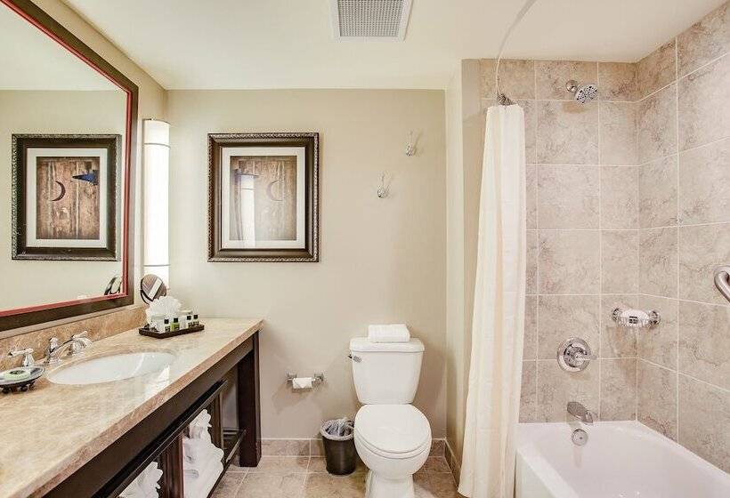 غرفة تنفيذية, Overton Hotel And Conference Center