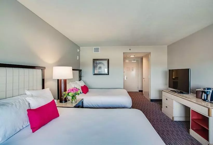 Executive-huone, Overton Hotel And Conference Center