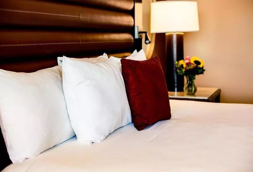 Standard-huone King-vuode, Overton Hotel And Conference Center