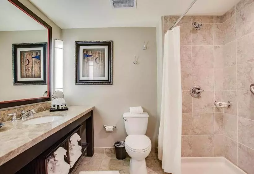 Standard-huone King-vuode, Overton Hotel And Conference Center
