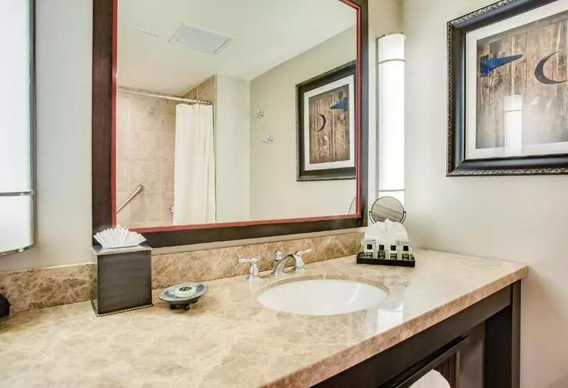 Standard-huone King-vuode, Overton Hotel And Conference Center