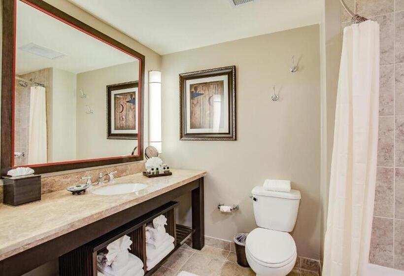 غرفة قياسية, Overton Hotel And Conference Center