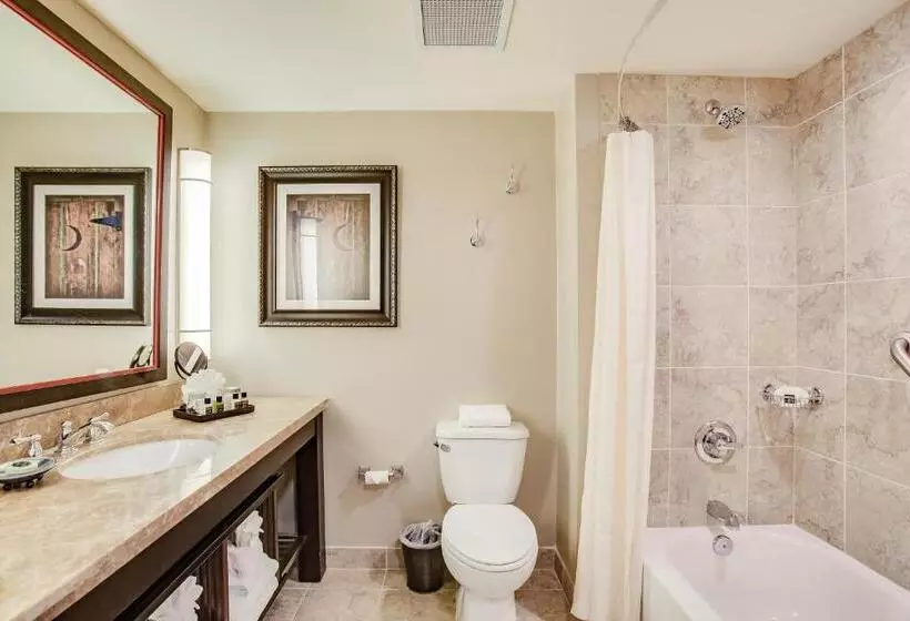 Standard-huone, Overton Hotel And Conference Center