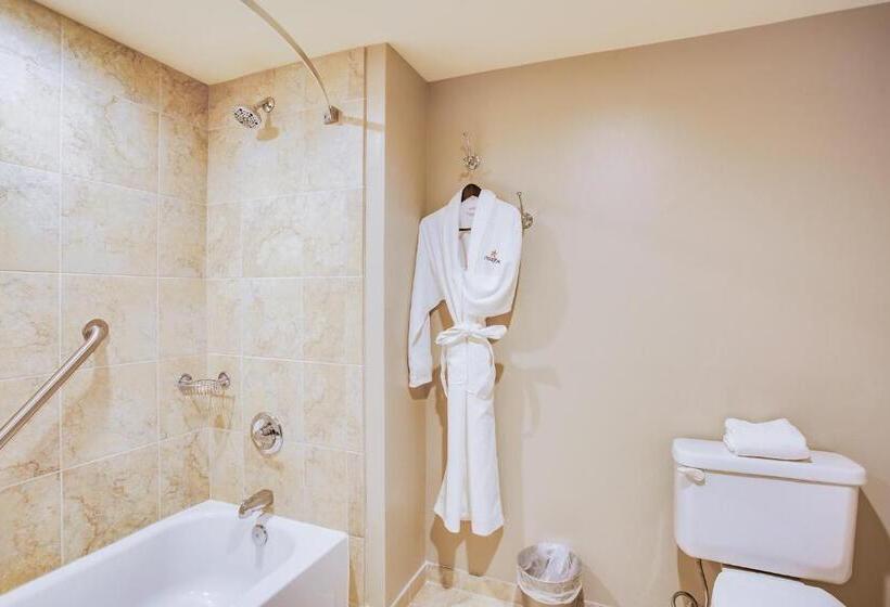 חדר אקזקיוטיב, Overton Hotel And Conference Center