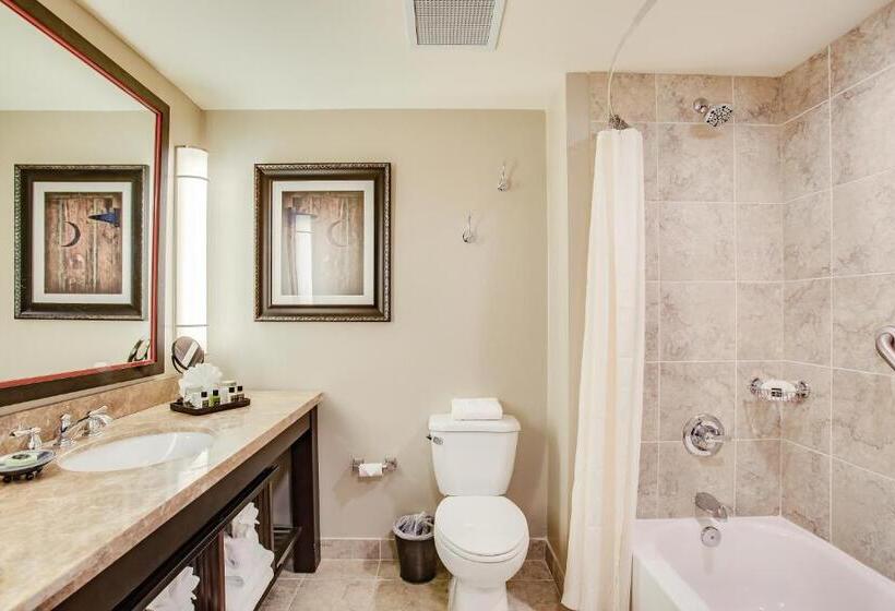 غرفة تنفيذية, Overton Hotel And Conference Center