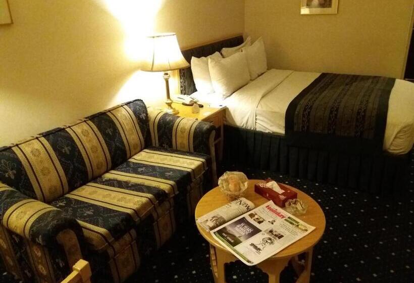 اتاق استاندارد یک نفره, Smart