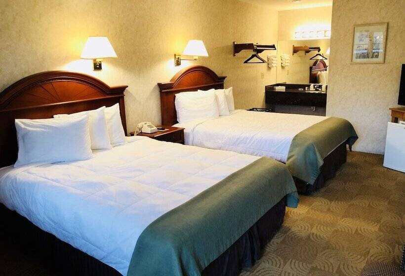 デラックスルーム, Lyn Aire Motel