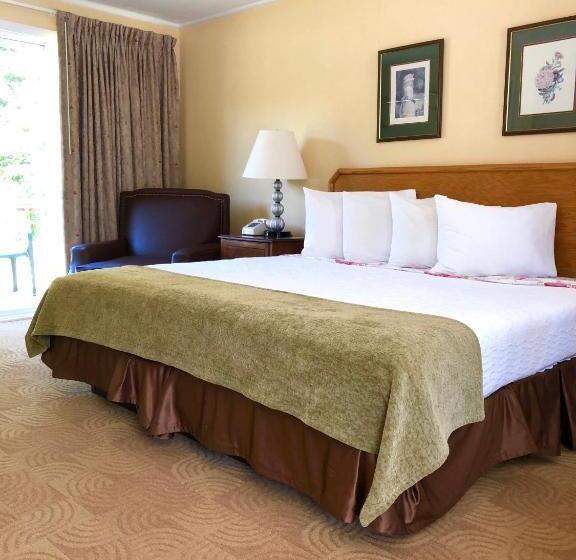 キングサイズベッドのスタンダードルーム, Lyn Aire Motel