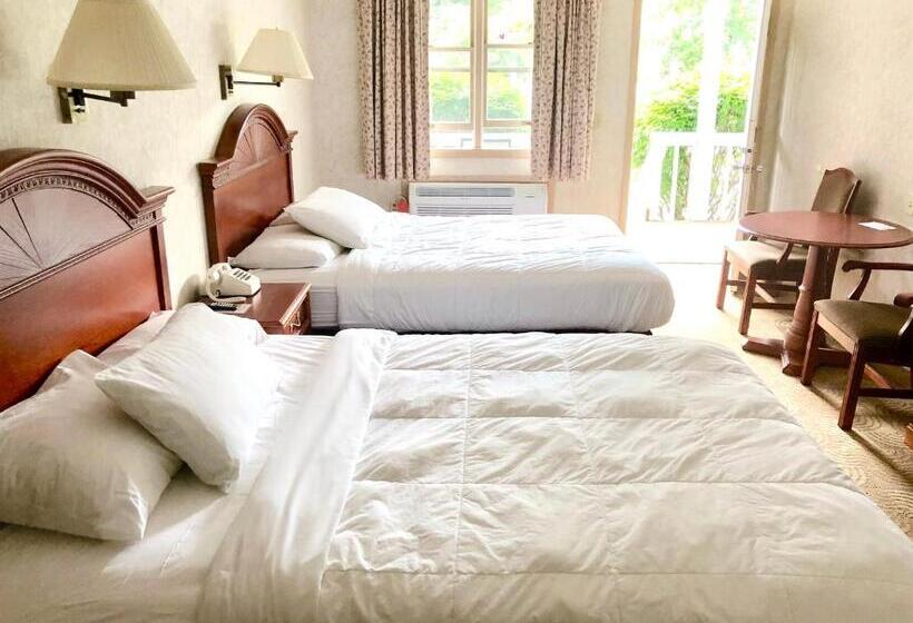 デラックスルーム, Lyn Aire Motel