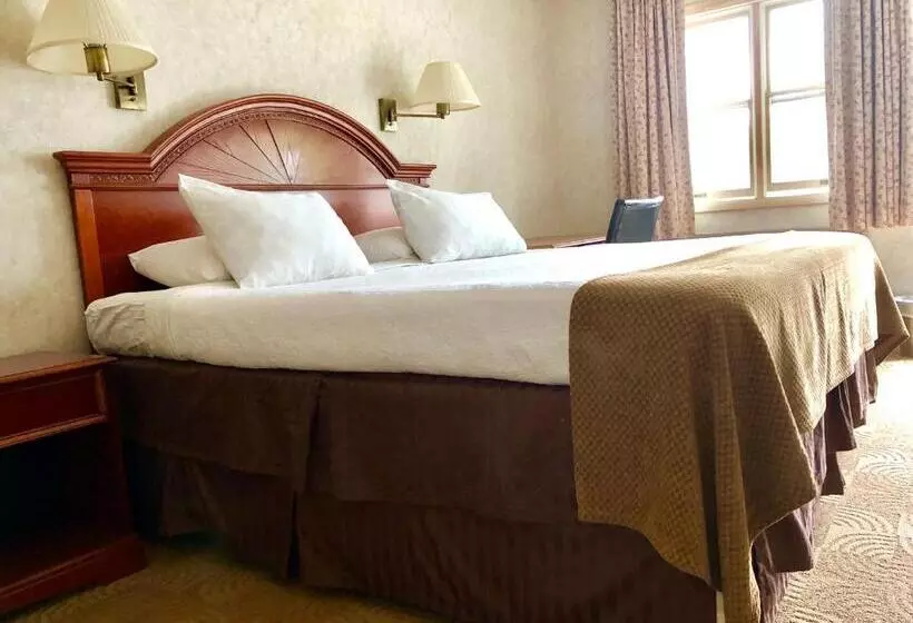 キングサイズベッドのデラックスルーム, Lyn Aire Motel