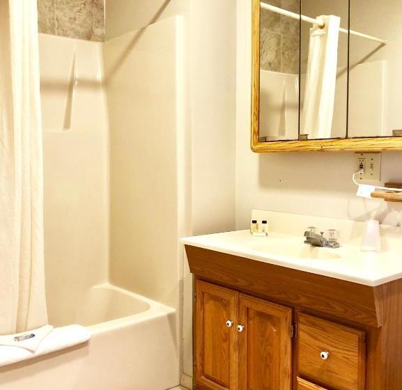 キングサイズベッドのデラックスルーム, Lyn Aire Motel