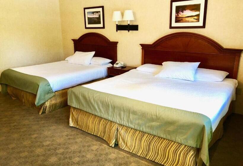 バルコニー付きデラックスルーム, Lyn Aire Motel