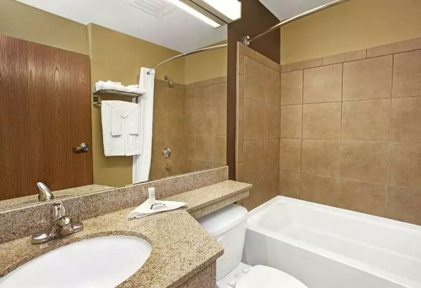 スタンダードルーム, Microtel Inn & Suites   Cartersville