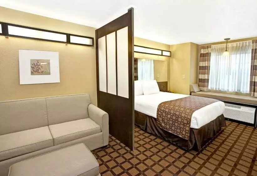 スタンダードスタジオ, Microtel Inn & Suites   Cartersville