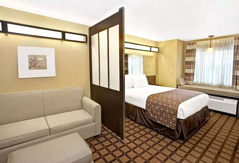 身障者適用スタンダードルーム, Microtel Inn & Suites   Cartersville