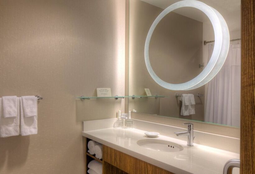 Студия Стандарт Двуспальная Кровать, Springhill Suites Anchorage University Lake